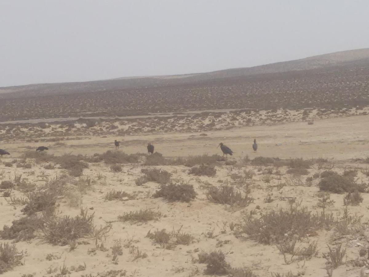 فيلا Grotte De Pecheur, Najim Aglou تزنيت‎ المظهر الخارجي الصورة